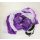 Schweif-Poi (2 Schweife), Tail-Poi (1 Paar) (Eigenmarke) Weiß-Purple