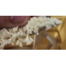 Premium-Dochtband (Lfm, Breite 4-10 cm)
