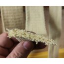 Premium-Dochtband 5cm Breite